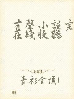 有声小说完结版在线收听