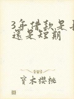 3年借款是长期还是短期