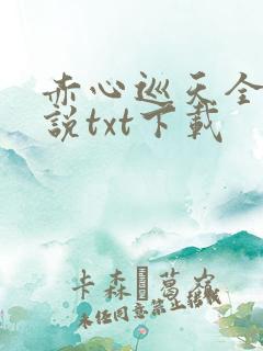 赤心巡天全本小说txt下载