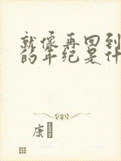 就像再回到当初的年纪是什么歌