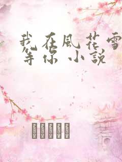 我在风花雪月里等你 小说