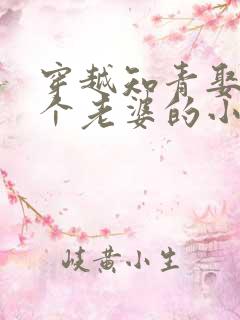 穿越知青娶了三个老婆的小说