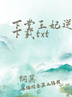 下堂王妃逆袭记下载txt