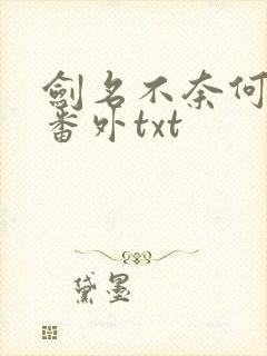 剑名不奈何完结番外txt