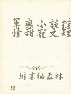 军恋小说推荐言情甜宠文短篇小说
