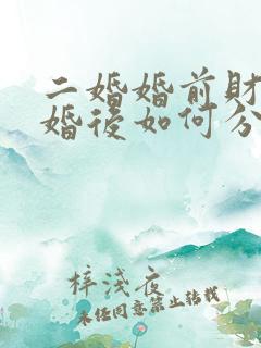 二婚婚前财产离婚后如何分配