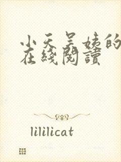 小天吴姨的小说在线阅读