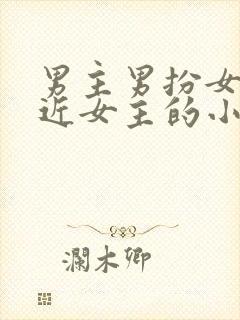 男主男扮女装接近女主的小说
