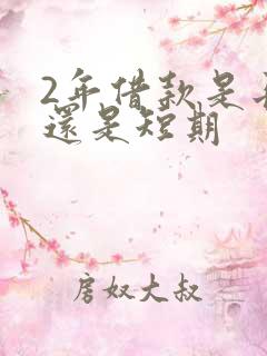 2年借款是长期还是短期