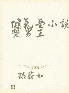 健气受小说推荐双男主