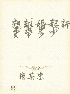 想离婚起诉律师费带多少