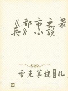 《都市之最强狂兵》小说