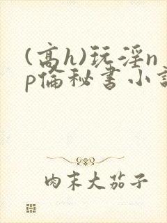 (高h)玩淫np伦秘书小说