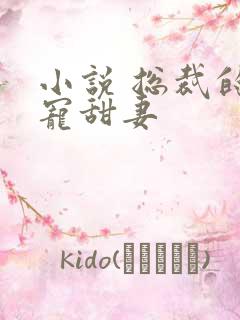 小说 总裁的独宠甜妻