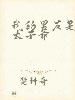 我的男友是京圈太子爷