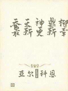 吞天神鼎柳无邪最新更新章节