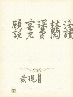 顾宴琛林浅月小说免费阅读最新章节