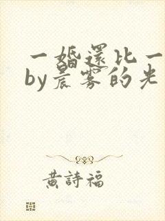 一婚还比一婚高by晨雾的光笔趣阁
