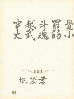 穿越斗罗觉醒异火武魂的小说