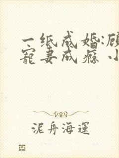 一纸成婚:顾少宠妻成瘾 小说