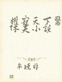 权宠天下医妃要休夫小说