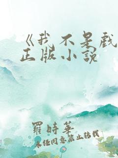 《我不是戏神》正版小说