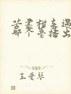 苦尽柑来遇见你哪个台播出