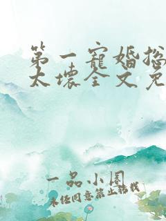 第一宠婚总裁别太坏全文免费