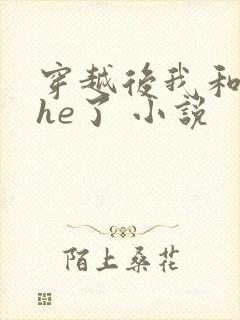 穿越后我和反派he了 小说