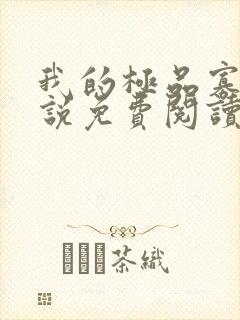 我的极品寡嫂小说免费阅读