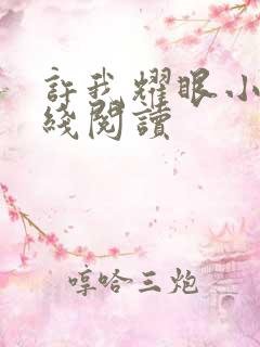 许我耀眼小说在线阅读