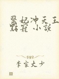 医妃冲天王爷轻点宠 小说