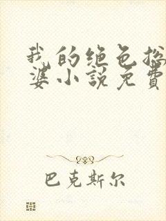 我的绝色总裁老婆小说免费阅读