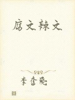 腐文辣文