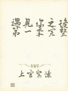 遇见你之后韩剧第一季完整版