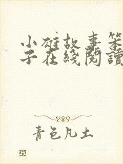 小雄故事笨蛋英子在线阅读