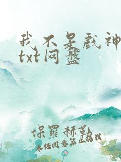 我不是戏神小说txt网盘