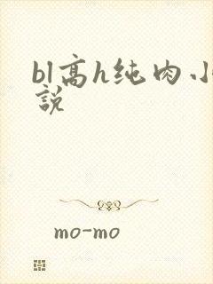 bl高h纯肉小说