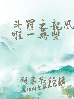 斗罗之龙凰传说唯一无双