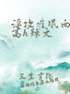 淫攻催眠向np高h辣文