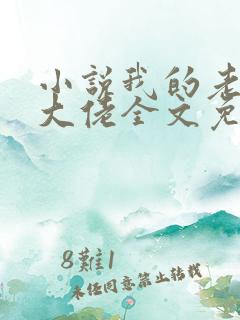 小说我的老公是大佬全文免费阅读