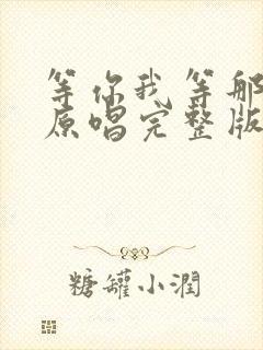 等你我等那么久原唱完整版歌词