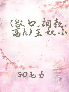 (粗口,调教,高h)主奴小说