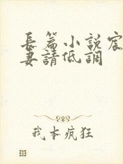 长篇小说宸少宠妻请低调