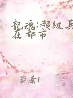 龙魂:超级兵王在都市