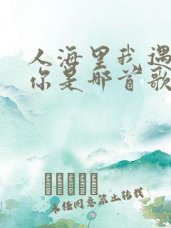 人海里我遇见了你是哪首歌的歌词