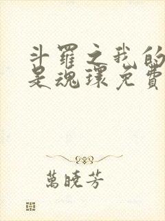 斗罗之我的武魂是魂环免费阅读