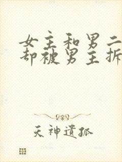 女主和男二相爱却被男主拆散现言