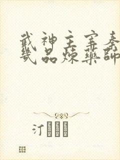 武神主宰秦尘是几品炼药师