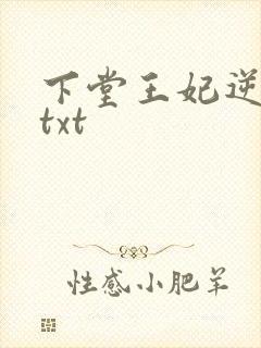 下堂王妃逆袭记txt